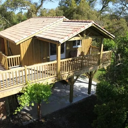 Les Chats Perches 400m G Casa de Férias *