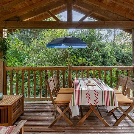 Les Chats Perches 400m G * Labenne