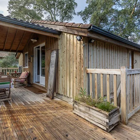 Les Chats Perches 400m G Labenne