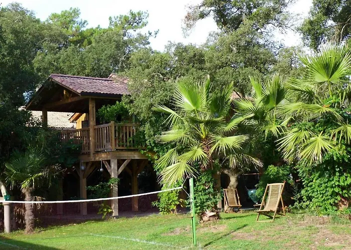 Les Chats Perches 400m G