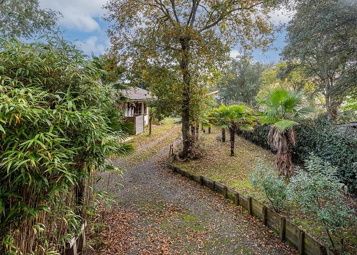 Les Chats Perches 400m G 펜션 라벤느