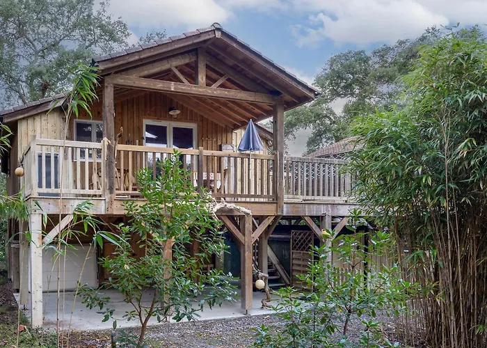 Les Chats Perches 400m G *