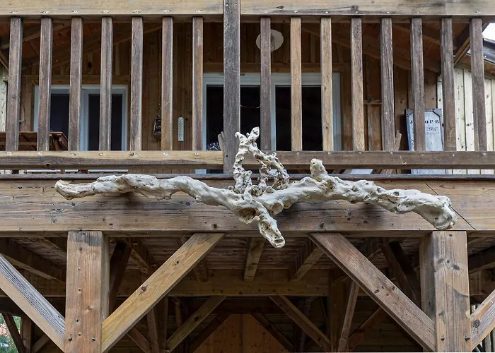 Les Chats Perches 400m G 펜션 라벤느