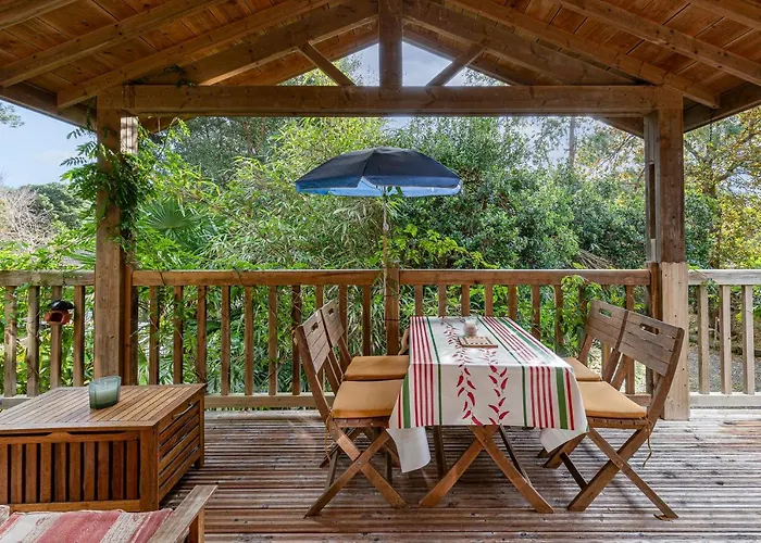 Les Chats Perches 400m G * 라벤느