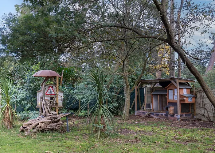 Les Chats Perches 400m G 라벤느