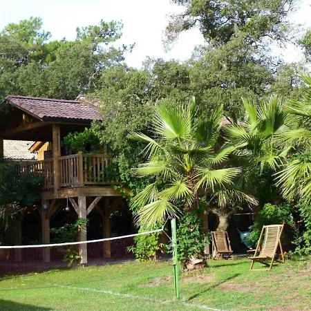 Les Chats Perches 400m G