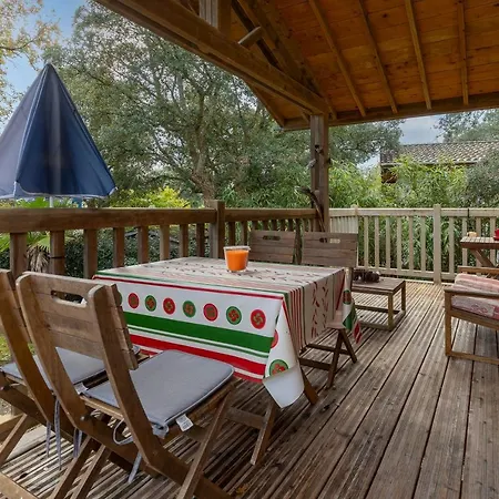 بيت للعطل Les Chats Perches 400m G *