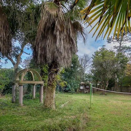 Les Chats Perches 400m G