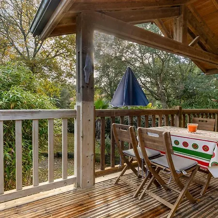 Les Chats Perches 400m G *