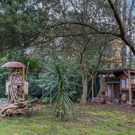 Les Chats Perches 400m G لابينيه