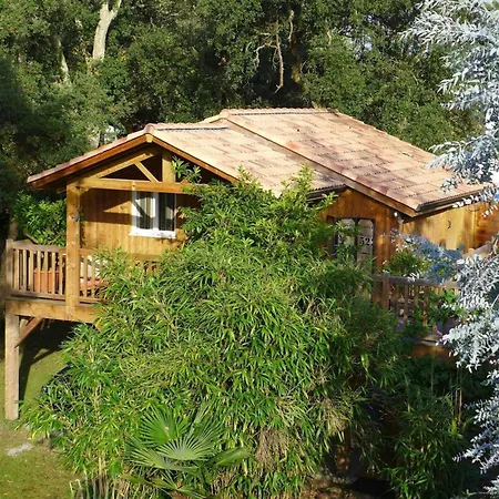 Chalet perché Le Palmier *
