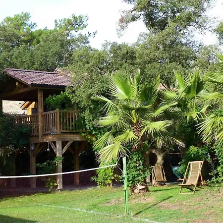 Chalet perché Le Palmier Labenne