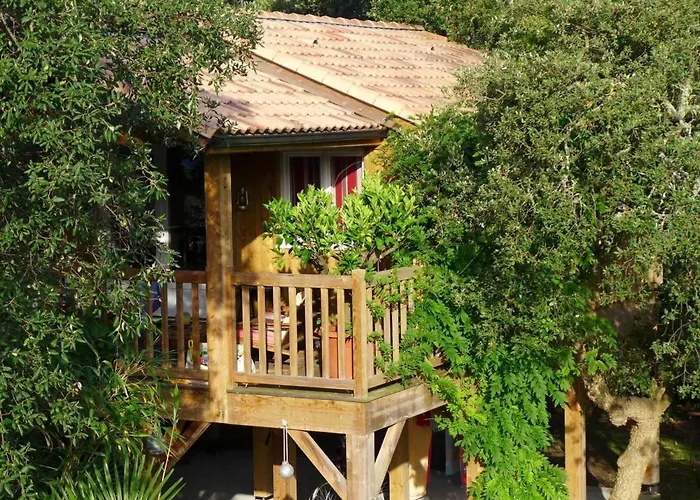 Semesterbostad Les Chats Perches 400m G Labenne