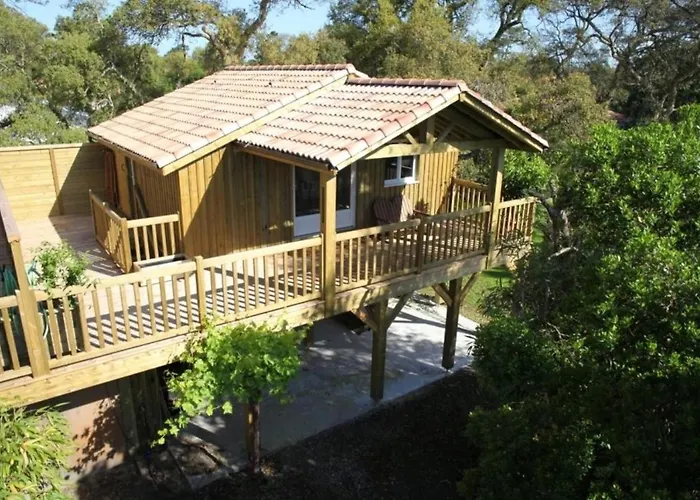 Les Chats Perches 400m G Semesterbostad *