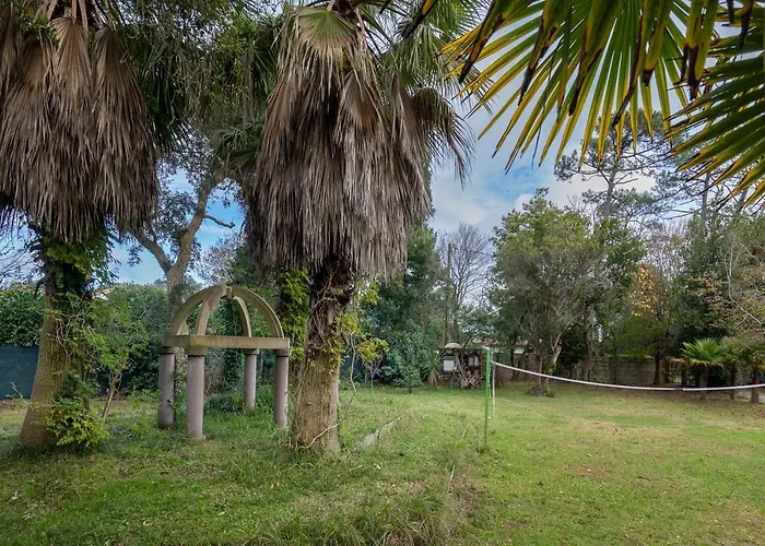 Les Chats Perches 400m G